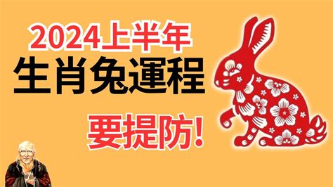 兔年運程 2024|2024年属兔人的全年运势 属兔人2024年每月运势及运程详解